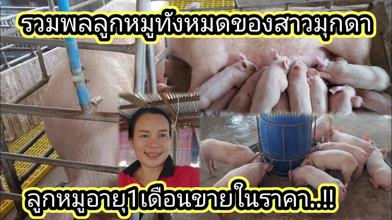 อัพเดทชีวิตปะจำวันอยู่บ้าน 20 กุมภาพันธ์ ค.ศ. 2026