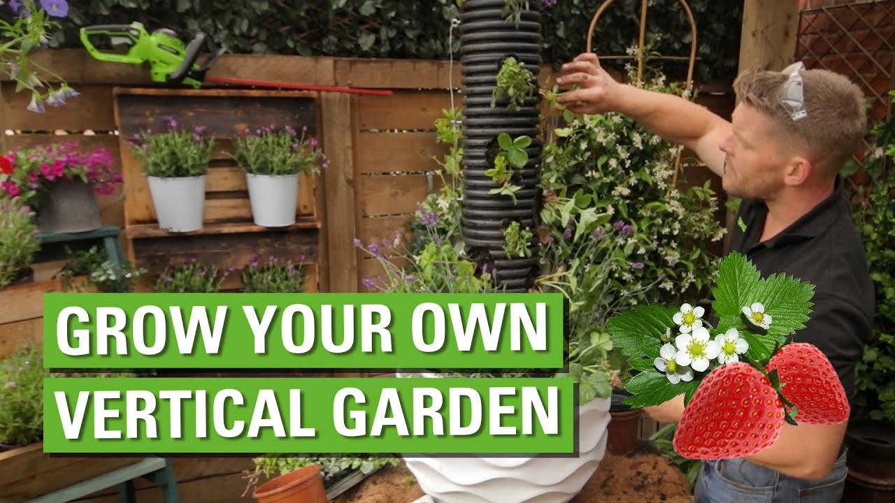 Grow A Vertical Garden