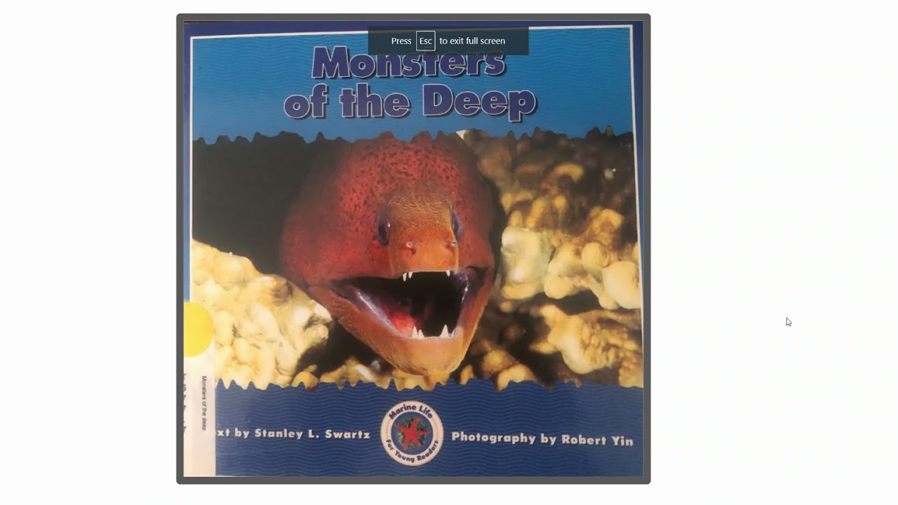 Monsters of the Deep with Mrs Lyon
