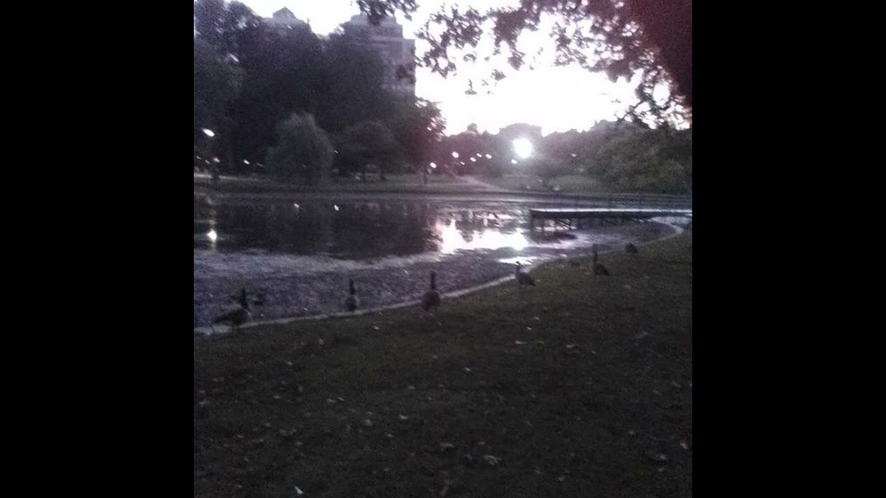 (free) slowdive / shoegaze / slowcore type beat