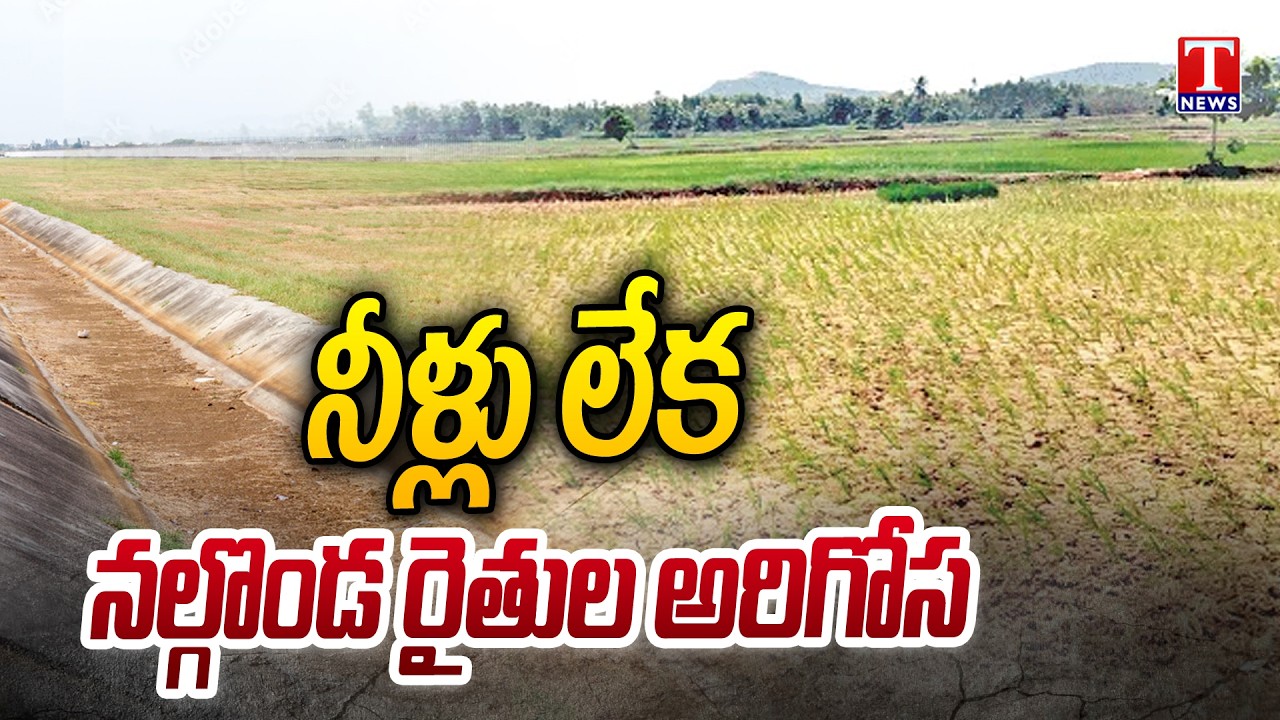 Nalgonda Farmers Suffer Under Congress Govt Rule Over No Water For irrigation | T News