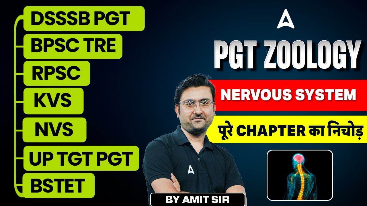 बिहार शिक्षक भर्ती TRE 4.0 | PGT Zoology - Nervous System  ( पूरे Chapter का निचोड़  ) by Amit Sir