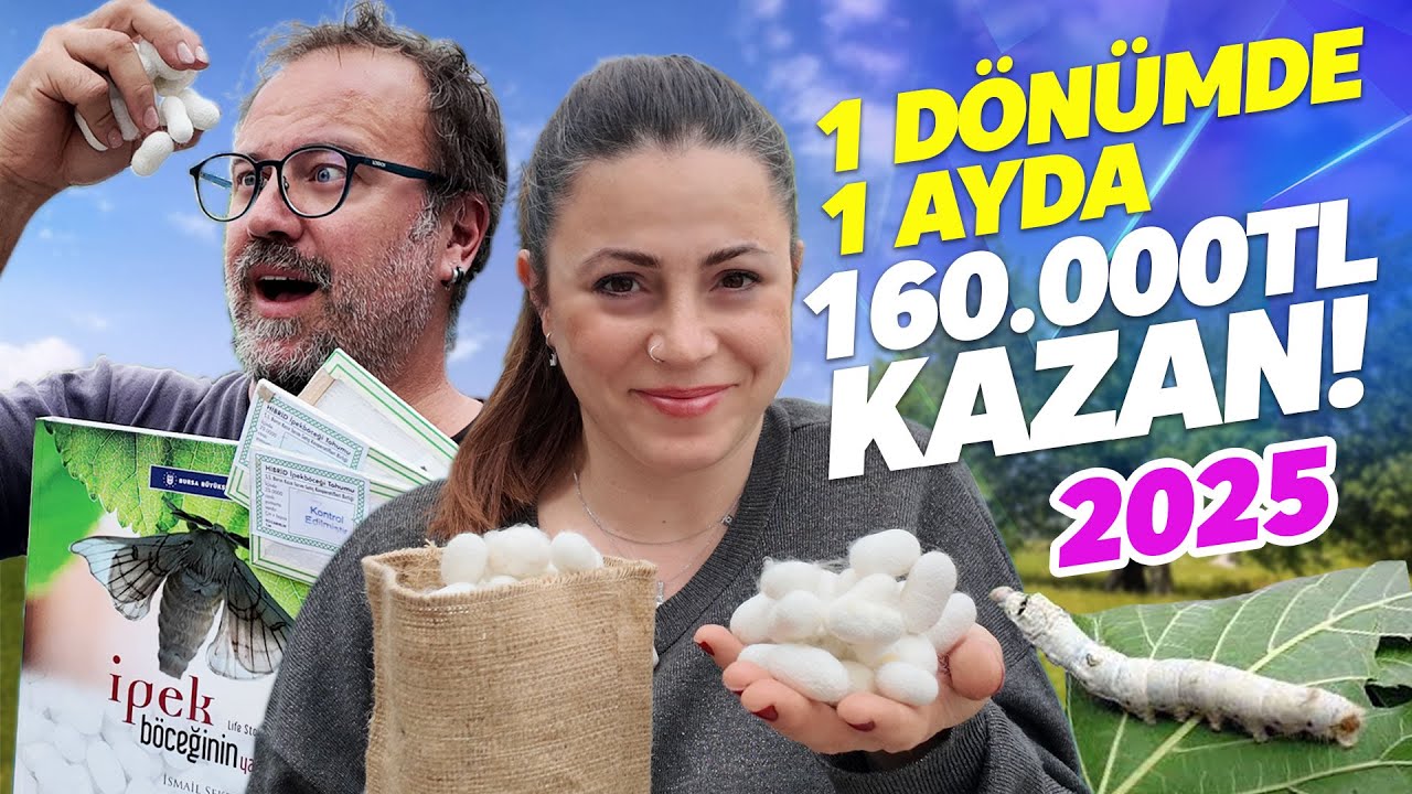 1 Dönümde 1 Ayda 160 Bin TL Kazanç: İpek Böceği yetiştiriciliği Nasıl Yapılır?