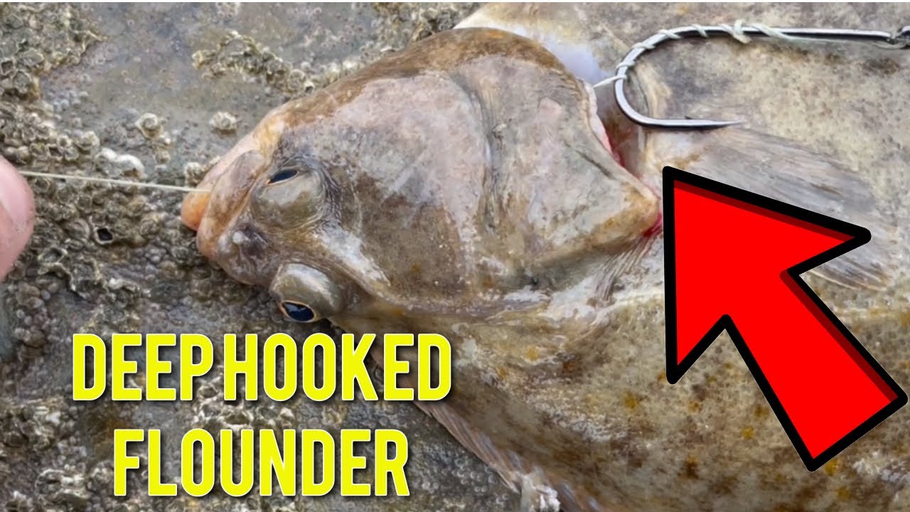 How to Safely Release a Deep-Hooked Flatfish: A Must-Know Tip for Sea Anglers #flatfish