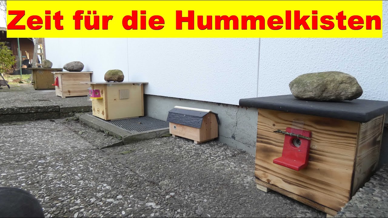 Hummelkisten im März aufstellen und auf Hummel Königin warten