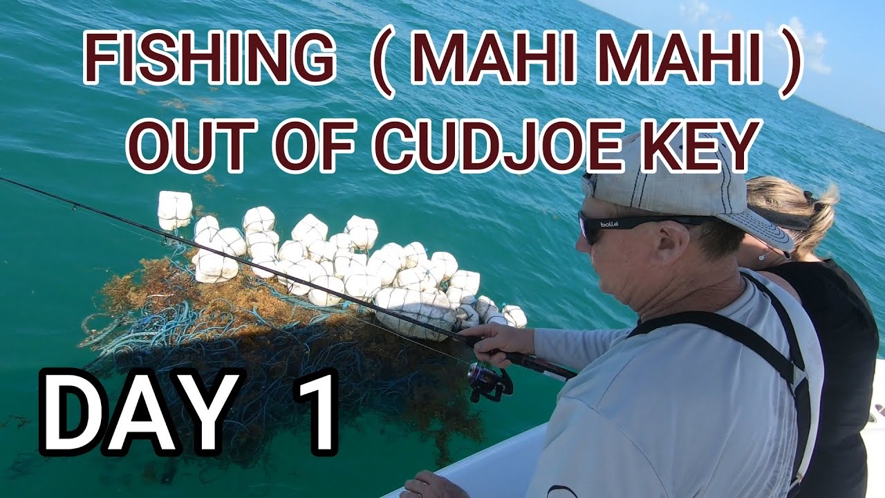 DOLPHIN FISHING 2021( DAY 1)  CUDJOE KEY