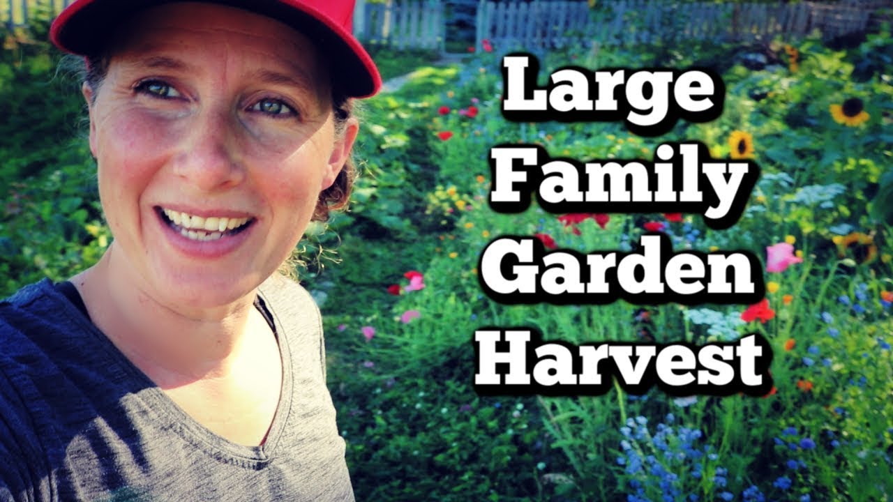 Garden Haul | Root Cellar Food Storage Tips