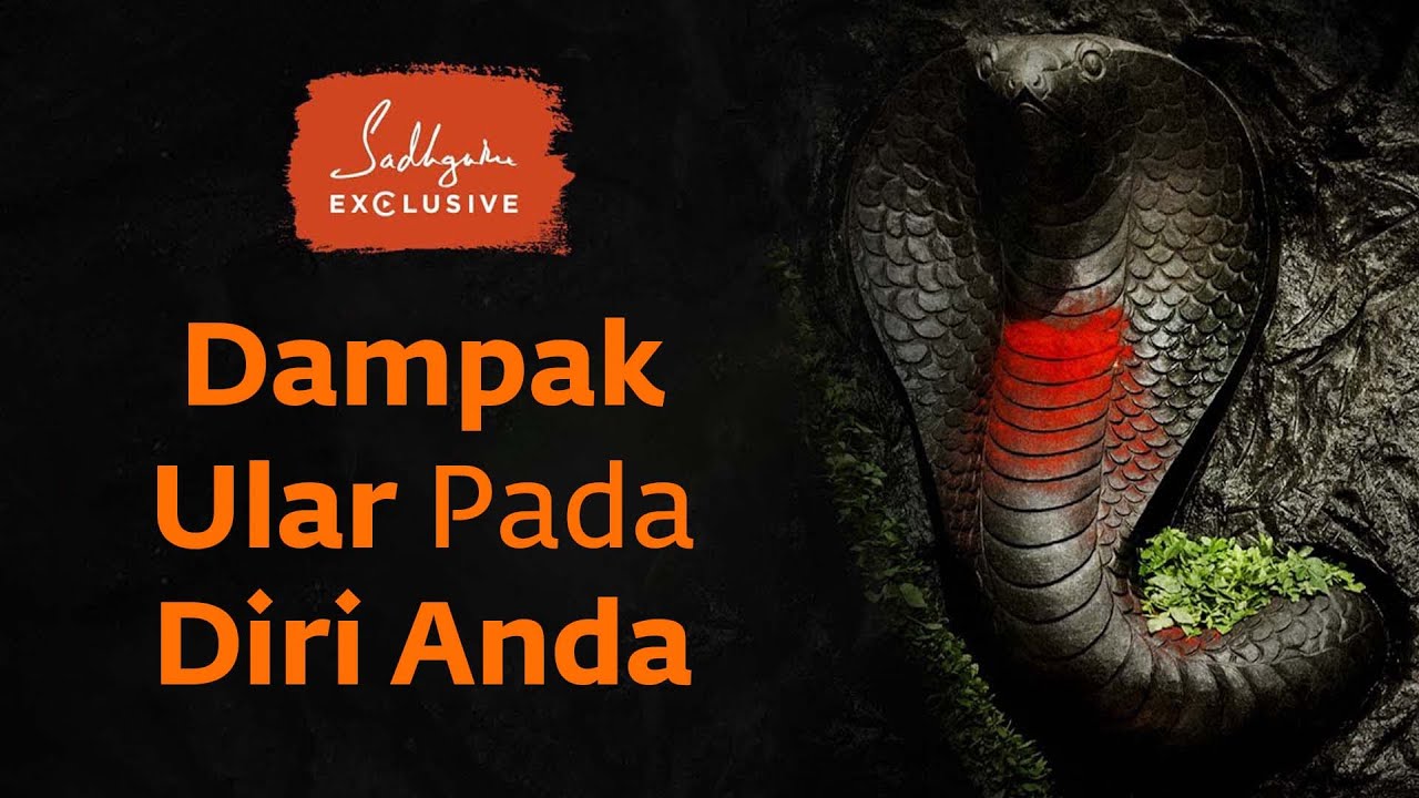 Kenyataan Dampak Ular pada Hidup Anda  | Sadhguru Bahasa Indonesia