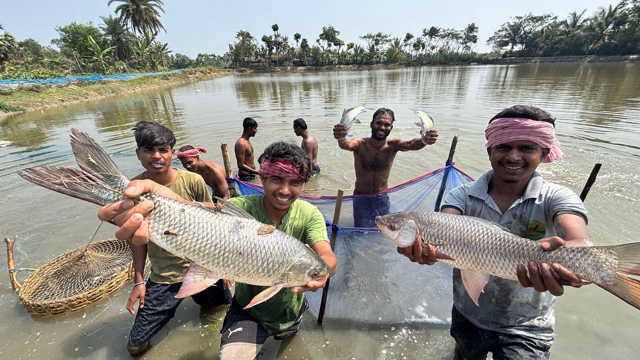 পাসের পাড়া থেকে ডাক আসলো জাল টেনে ৪ বিগে দিঘির মাছ ধরার ।।🐟🐟🐋