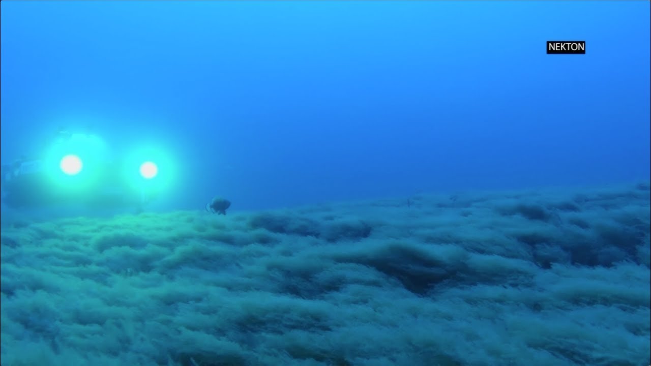 AP Exclusive: Deep Dive Into the Indian Ocean