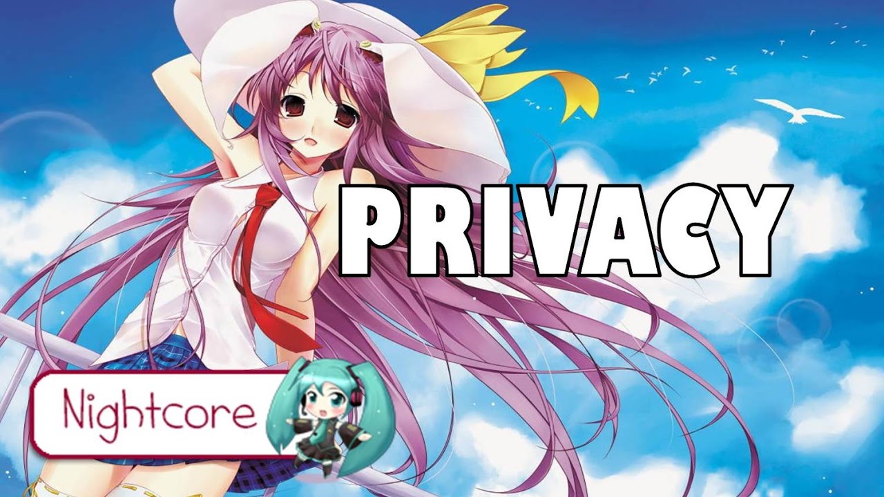 Nightcore - Privacy [Chris Brown]