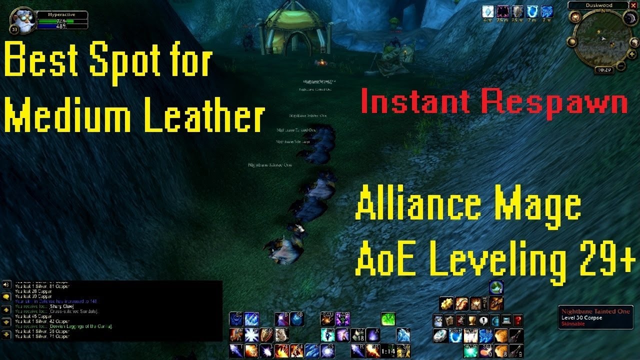 WoW Classic: Best Medium Leather Spot & Alliance Mage AoE Leveling 29+ (INSTANT RESPAWN)