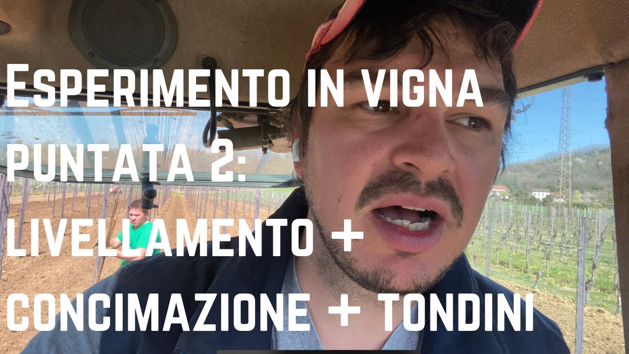 Sistemazione di pre-impianto, della vigna lavorata in modo 
