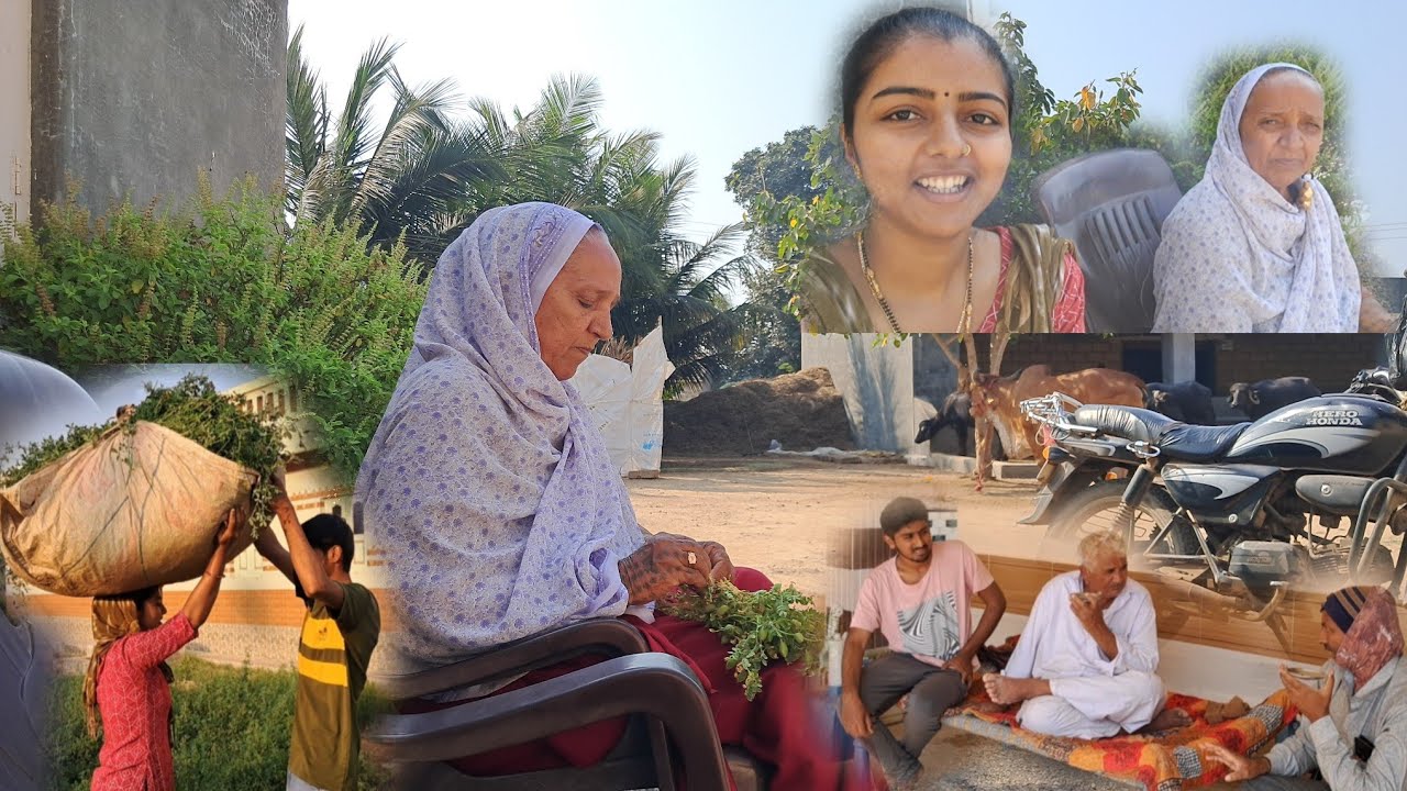 આરતી ના બાપાની વાડીએ મેખડી...