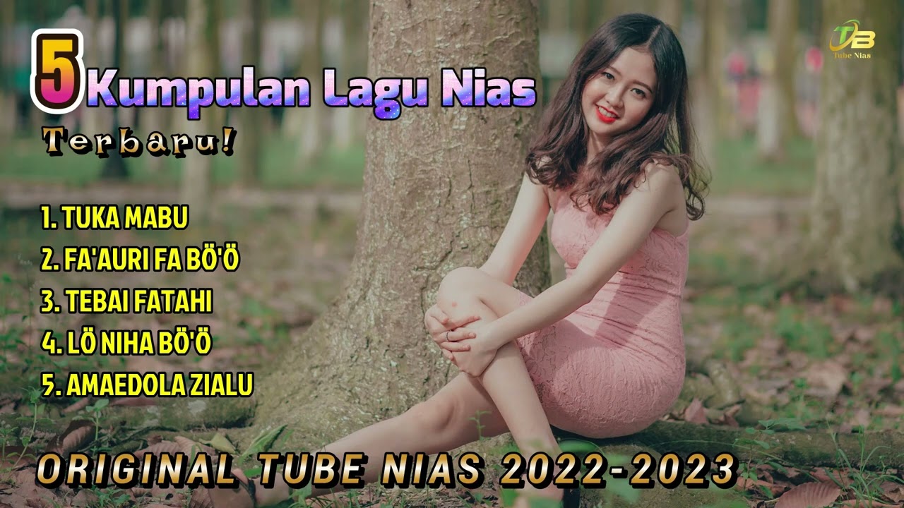 Kumpulan Lagu Tube Nias 2022 -2023 / Dhut Remix Nias Pargoy Extra Bass