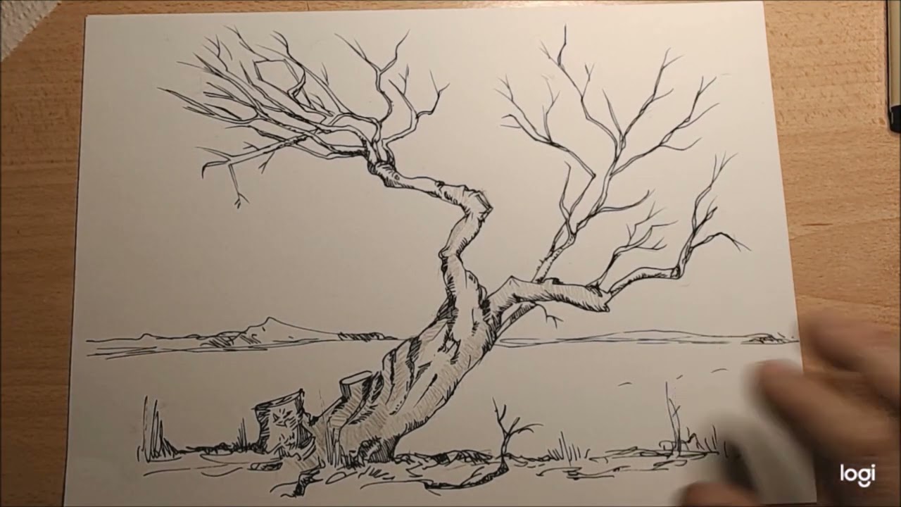 Disegnare alberi: parte 4