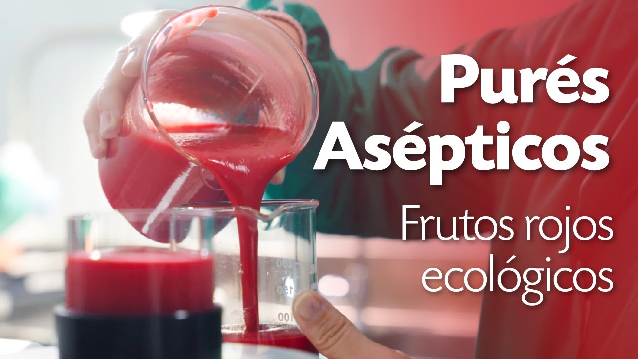 Producción de purés Asépticos Ecológicos Bionest. Fábrica de procesados de berries ecológicas.