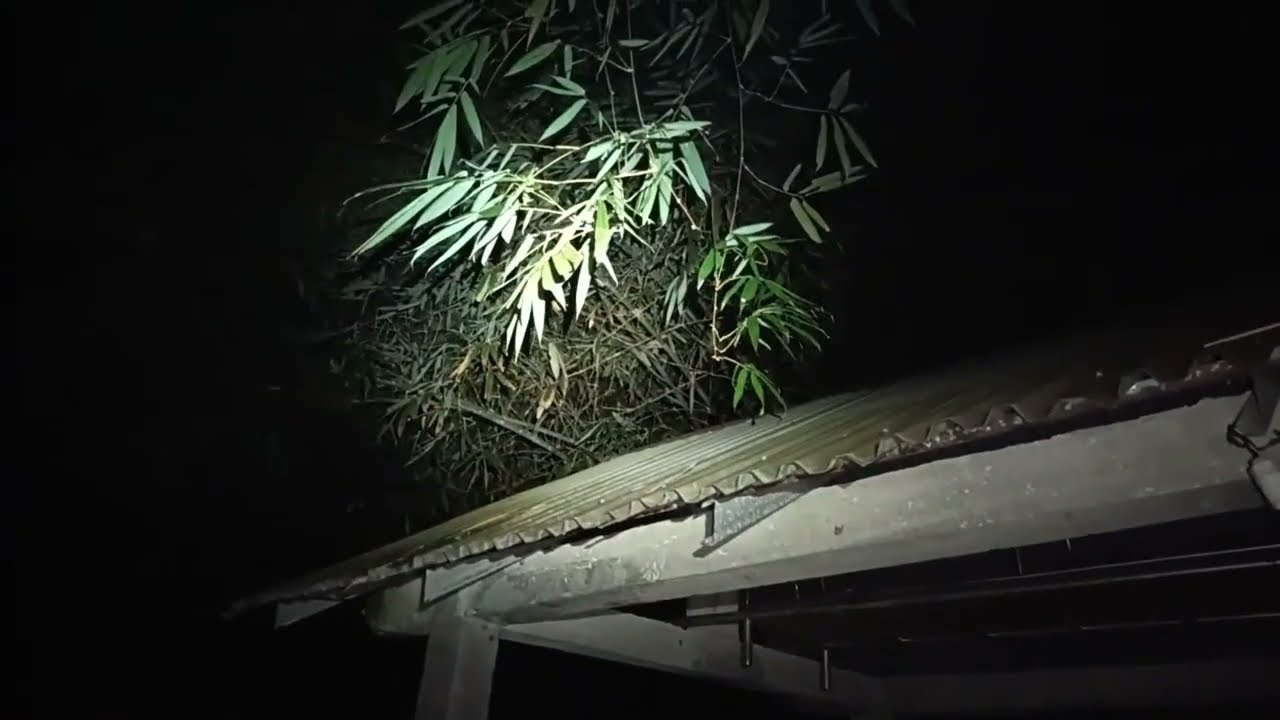 Untung aja kerekam kamera