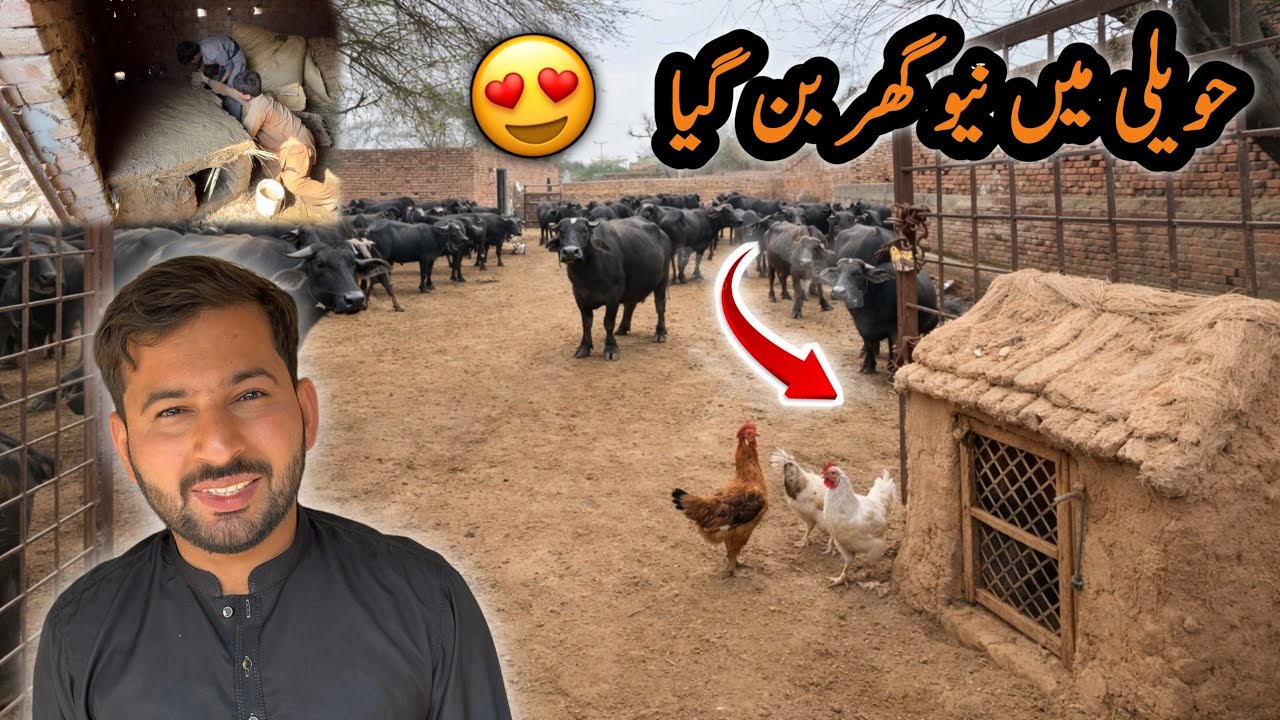 Haweli Main New Ghar Ban Giya 😍 | Village Life Style | Shazyy Vlog 