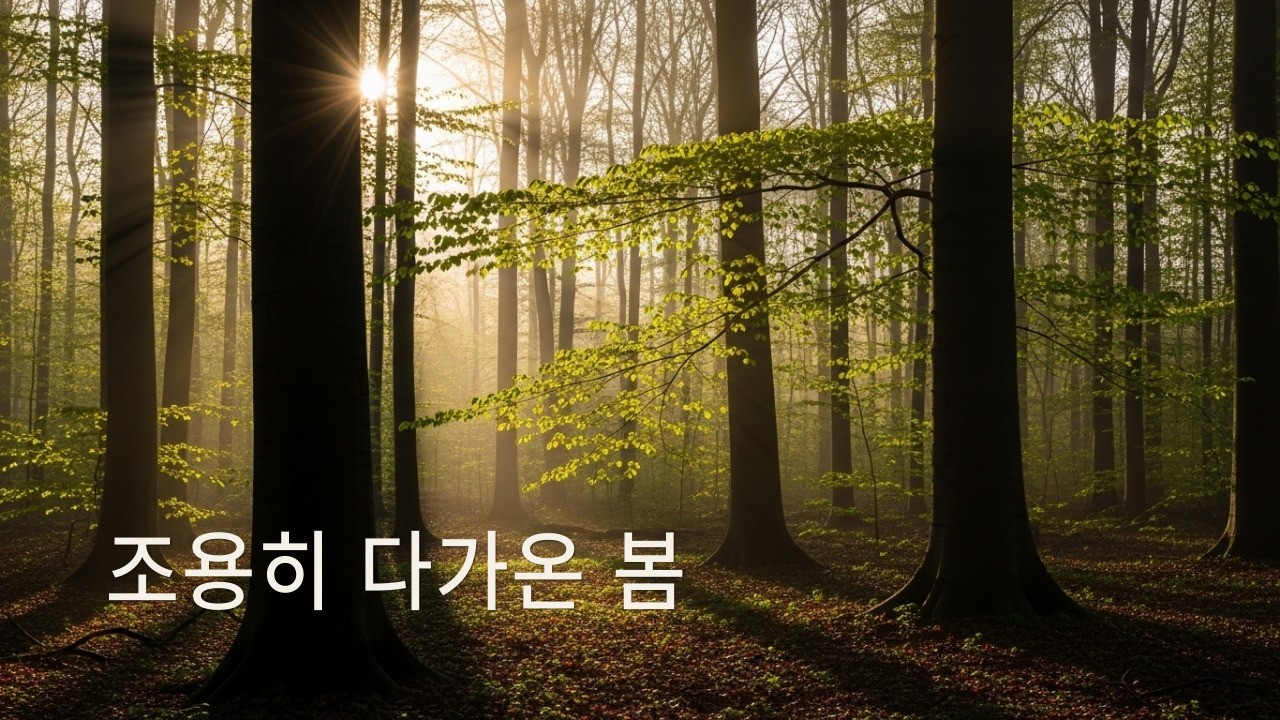 🌸조용히 다가온 봄의 멜로디 | A Quiet Start of Spring #healingmusic #springvibes