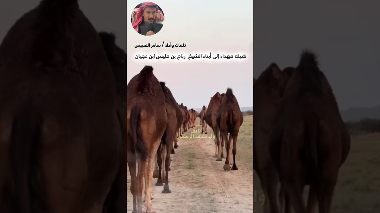 شيلة مهداه إلى ابناء الشيخ رباح ابن حليس كلمات وداء / سامر الضبيس حصرياً 2026🔥🔥
