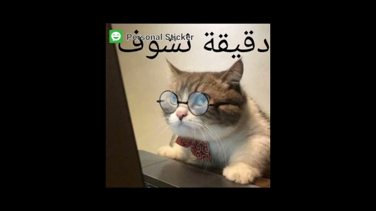 رأي عن كلان ذا التمت