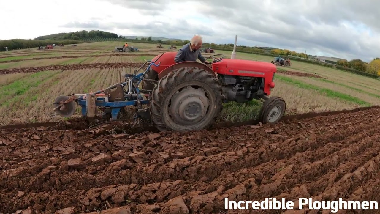 1958 Massey Ferguson 65 MK1 3.3 Litre 4-Cyl Diesel Tractor (58 HP) Ledbury Ploughing Match 2025