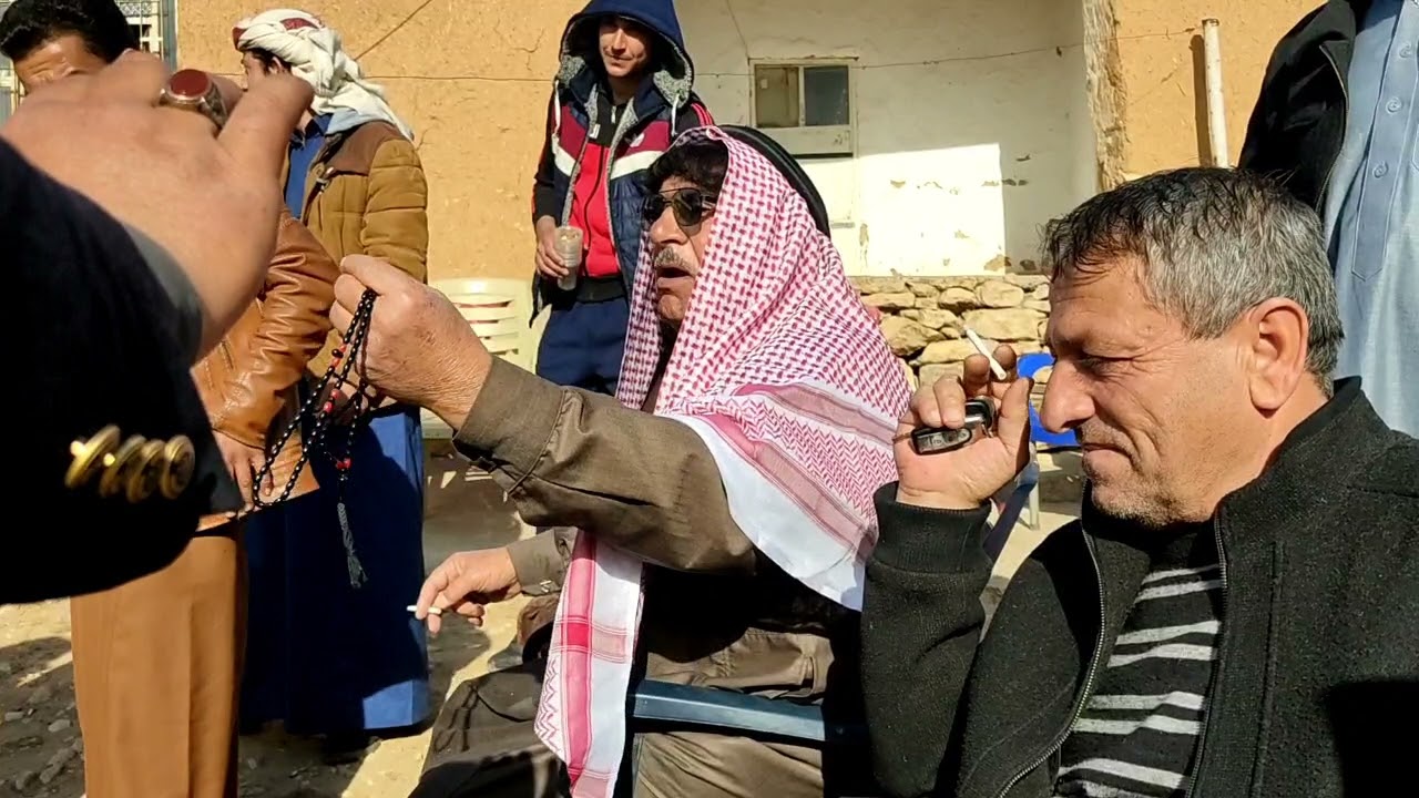 مذاد بيع طير شاهين