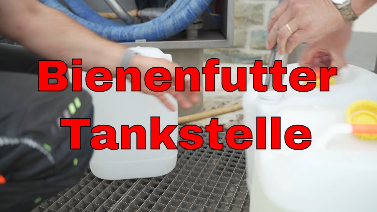 Besuch bei der Bienenfutter -Tankstelle (2021, Amelunxen, bei Soest)