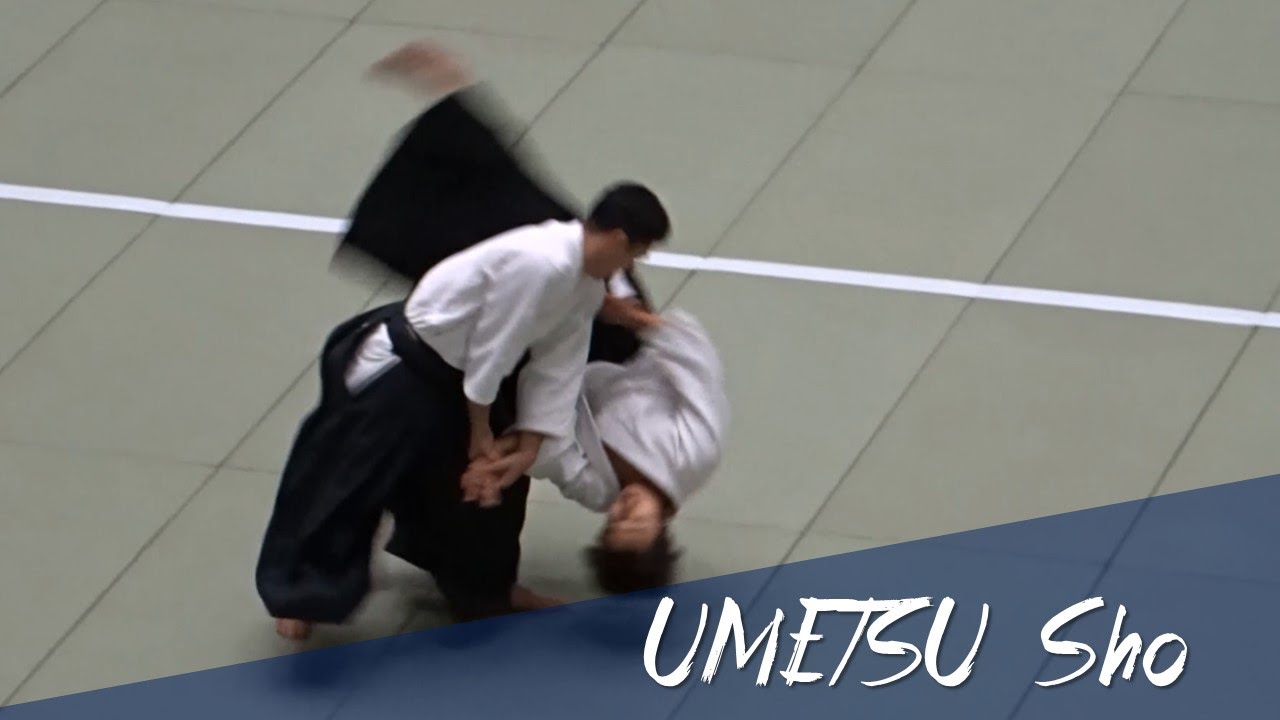 UMETSU Sho Shidoin - Aikido Throwing Techniques