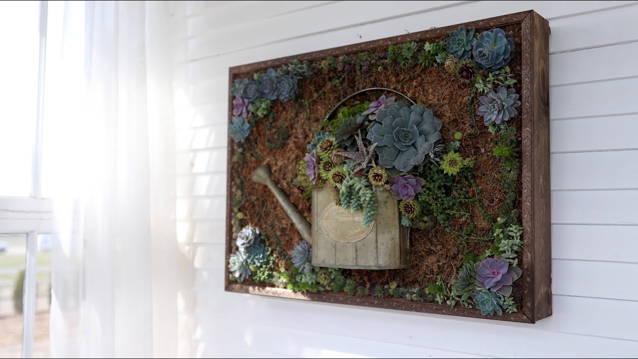 Vertical Succulent Arrangement Update and Wall Hanging! 💚👍 // Garden Answer