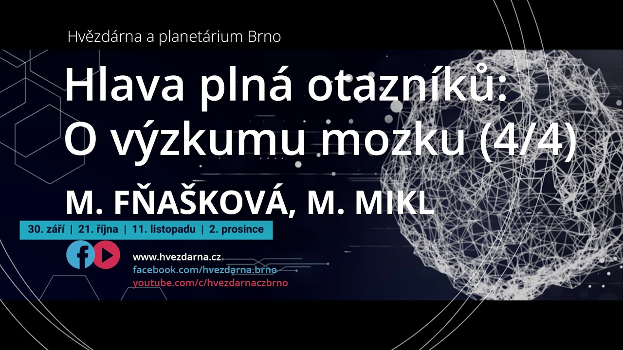 Hlava plná otazníků: O výzkumu mozku (4/4)