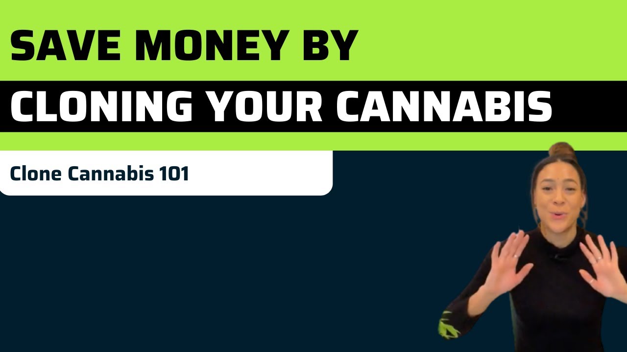Episode 11: Save Money By Cloning Your Cannabis