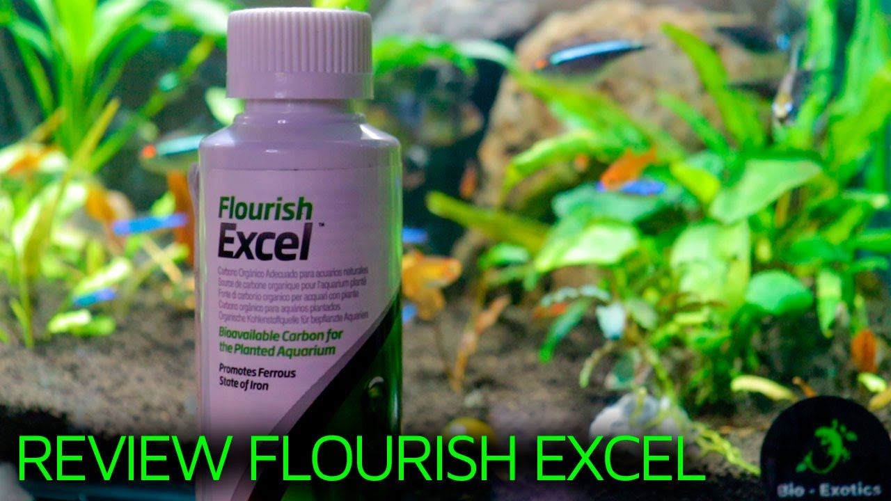 REVIEW FLOURISH EXCEL | CARBONO PARA PLANTAS ACUÁTICAS |