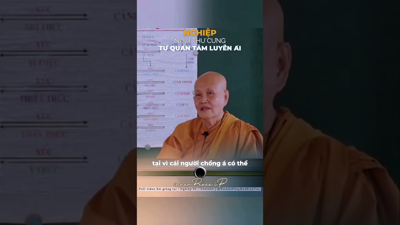 Cảnh Báo NGHIỆP THÚ CƯNG - Tự Quán Tâm Luyến Ái | Sư Cô Tâm Tâm