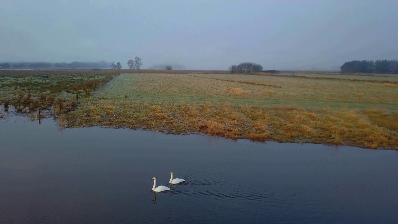 Mavic Pro flight in fog