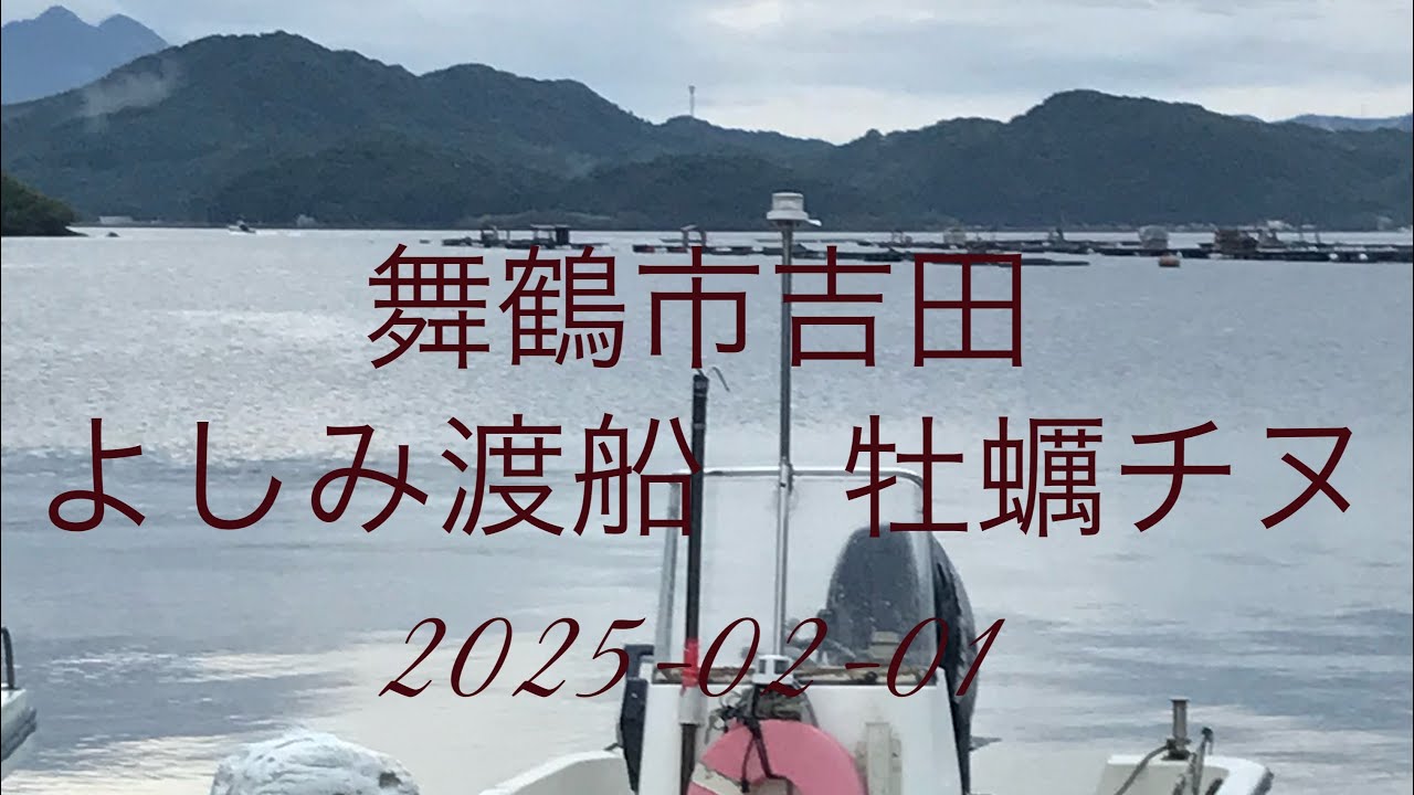 舞鶴市吉田　よしみ渡船 牡蠣チヌ　2025-02-01