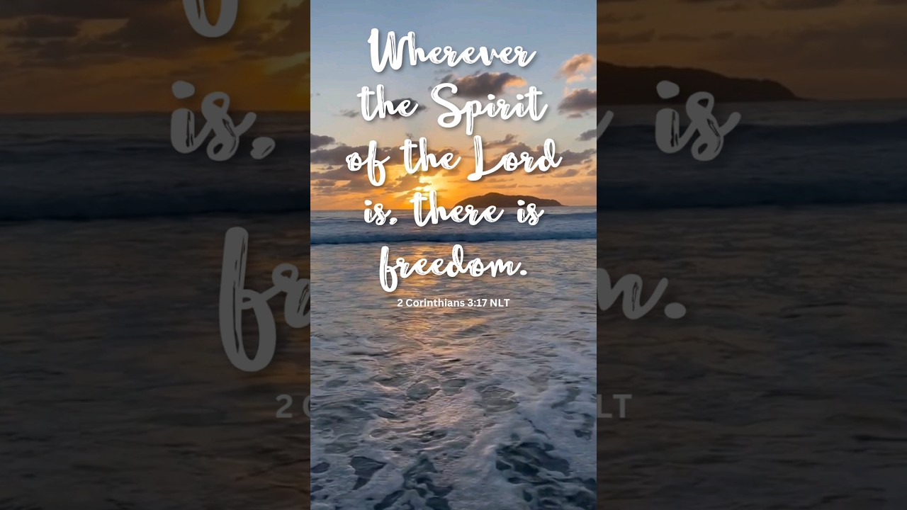 How to have freedom! #freedom #bible #jesus