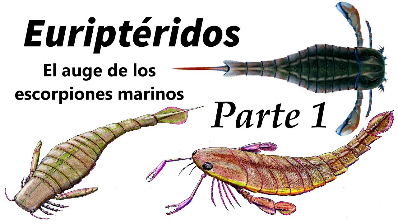 Euriptéridos. Parte 1: el auge de los escorpiones marinos