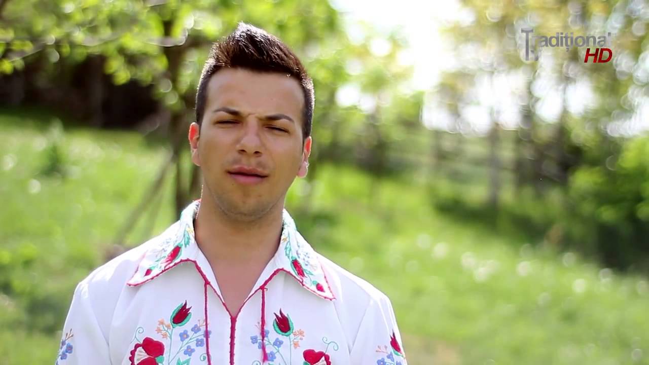 Alex de la Orastie-Vultur singur si batran
