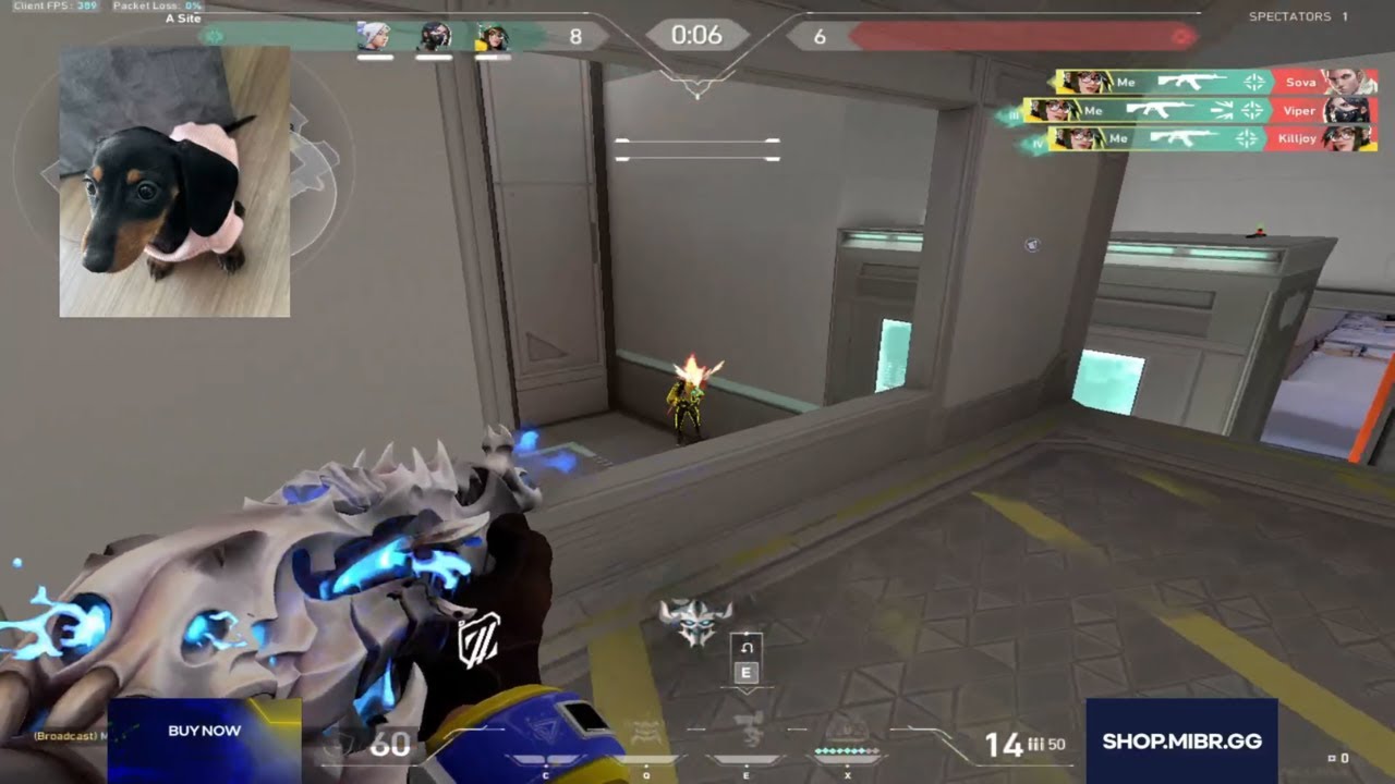aimer: MIBR cortezia