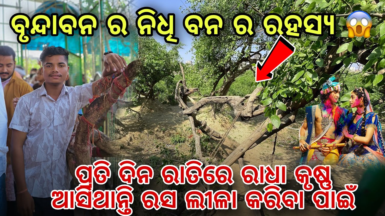 Nidhivan !! Reality of Nidhivan !! ରସ ଲୀଳା ଦେଖ ବାର କେଁ ଯିଏ ବି ଆସିଛେ ତାର ମୃତ୍ୟୁ ହେଇଛେ 😱!! Sambalpuri 