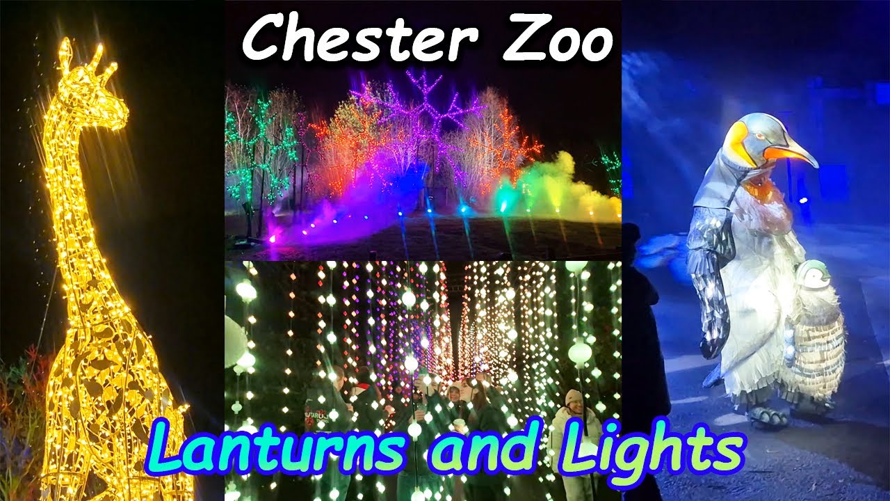 Chester Zoo Lanturns and Lights 2025