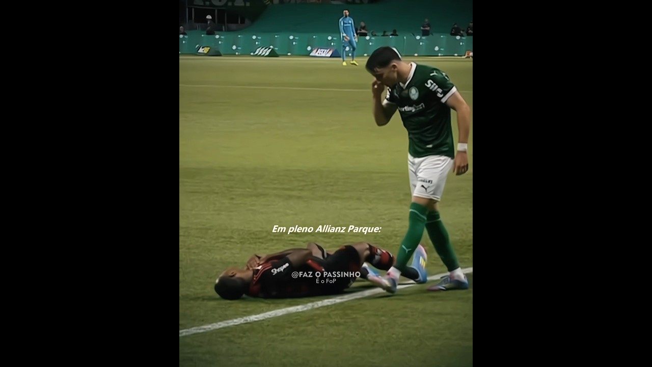 Brutal o que a torcida do Flamengo fez 💀🔉 | #flamengo #palmeiras