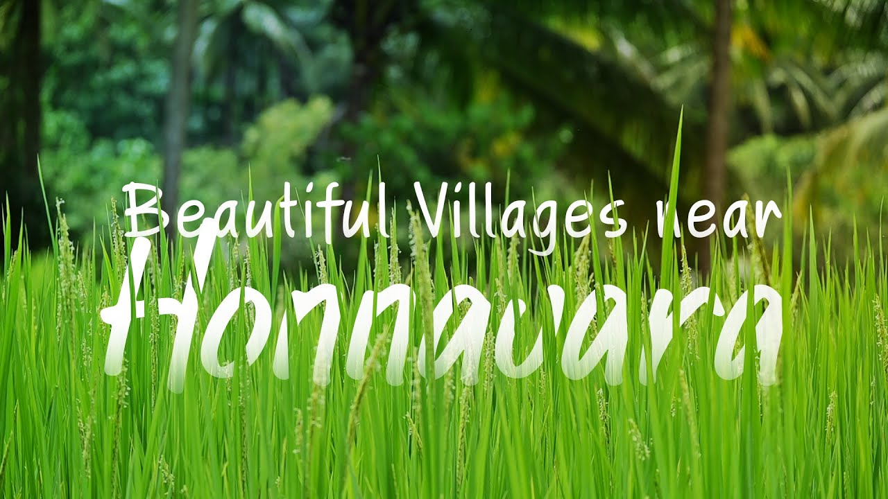 Tiger Valley Creations - Villages around Honnavar - Cinematic shots
