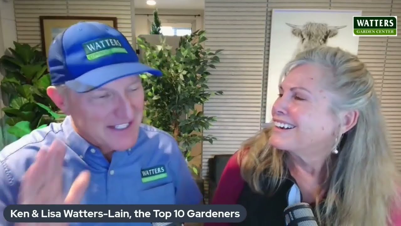Top 10 Year End Garden Tasks for a Better Yard