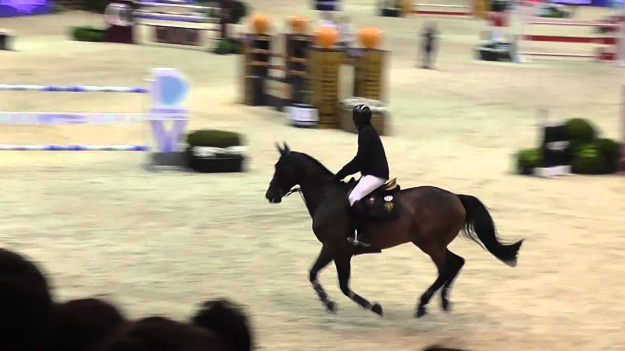 Guillaume Canet 145 cm equita'Lyon