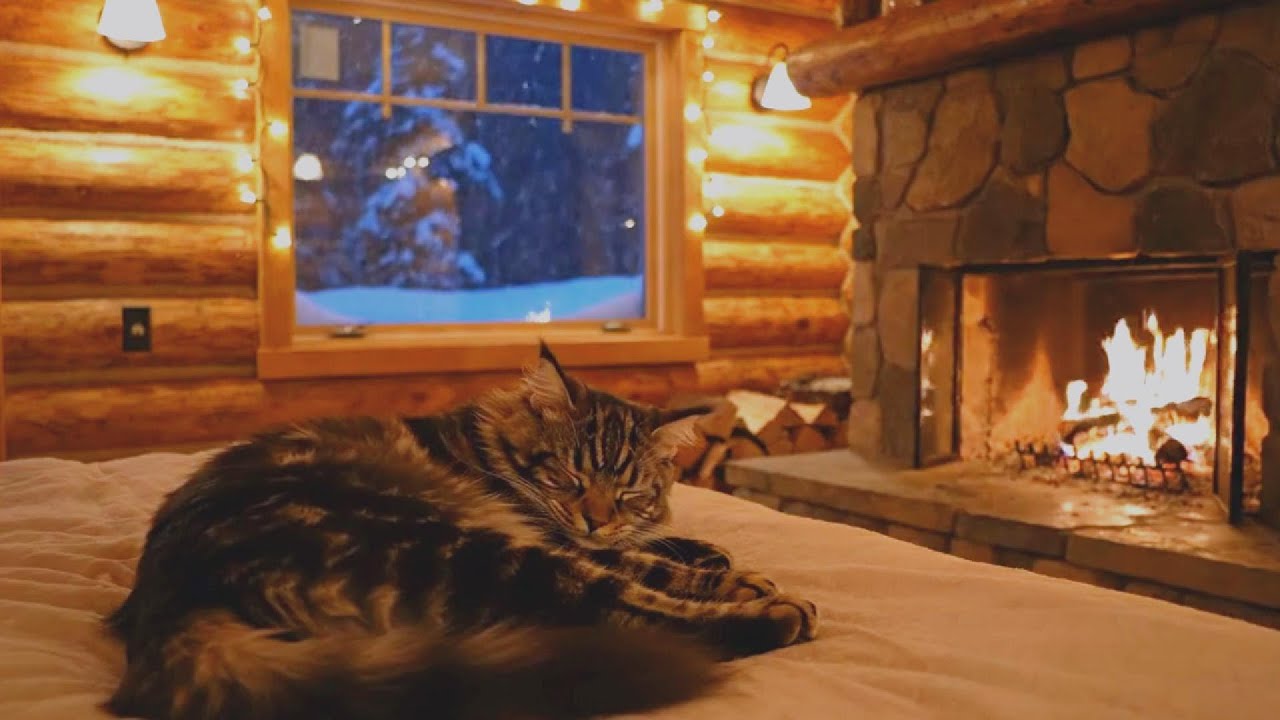 🐱Cozy Cat Sleeping by Fireplace for Deep Calm & Relaxation 🔥