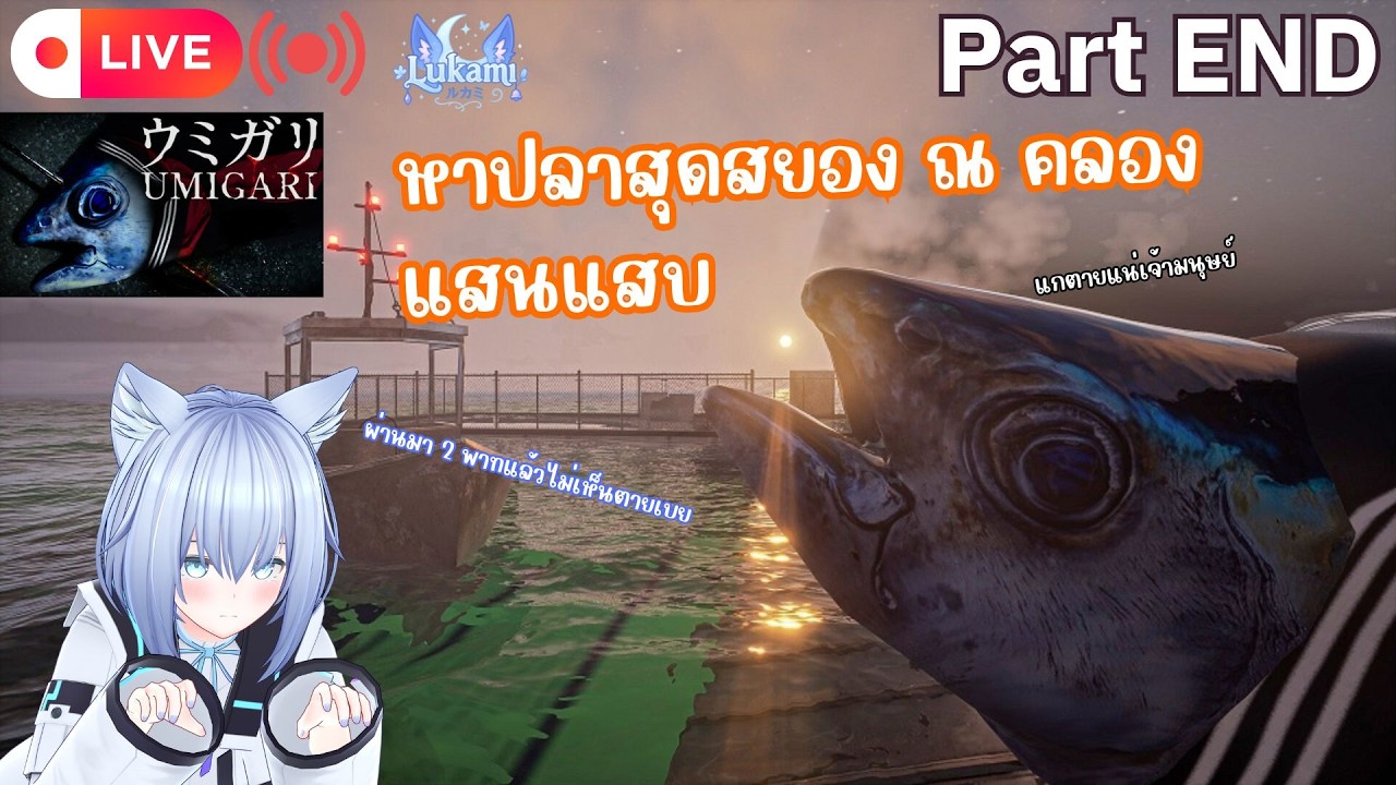 [🔴Live] หาปลาสุดสยอง ณ คลองแสนแสบ | UMIGARI | ウミガリ [Part END]