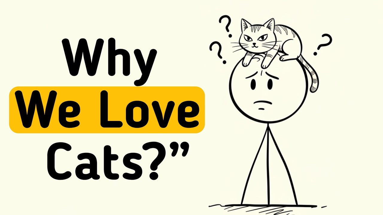 if You LOVE CATS, Here's Why? (Psychology Explained)